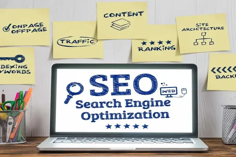 seo uzmanı nedir